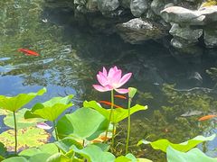 -东山雕花楼