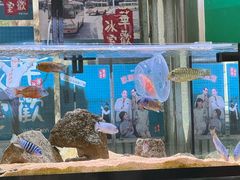 -華歡冰室-WahFoon(吉大店)