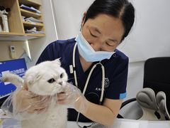 -芭比堂动物医院·24小时·眼科中心(深圳中心)