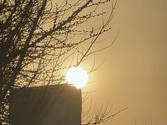 -东北大学(南湖校区)