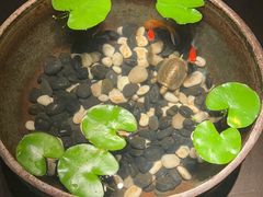 -曲水兰亭(北京四惠店)