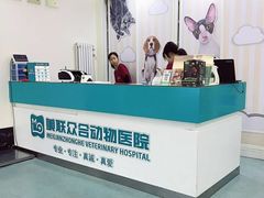 -美联众合爱康动物医院•复杂内科•肿瘤科•牙科•腔镜诊疗中心