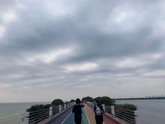 -贡湖湾湿地公园