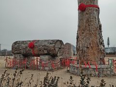 -北京凤凰岭