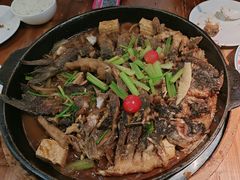 -老板恋上鱼(振华商厦店)