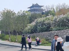 -太平河公园