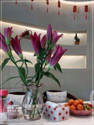 -唯伊美塑身美养连锁