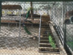 -北京鹿世界主题园