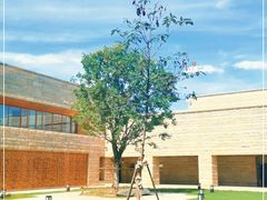 -盘龙城遗址博物院