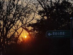 -紫金山山顶公园
