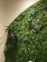 -香秀空间科技抗衰·美容中心