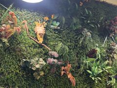 -味之绝热血美蛙鱼火锅(中坝店)