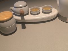 -优护优家Ucare月嫂育儿嫂陪伴师(静安店)