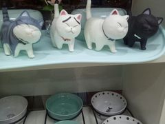 -萌兽医馆·宠物医院·猫骨科(创景店)