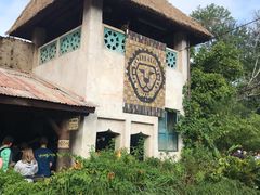 -奥兰多迪士尼动物王国乐园