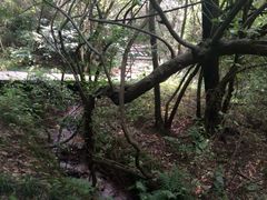 iphone_upload_pic-天目湖山水园