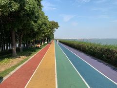 -贡湖湾湿地公园