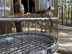 -昆山城市生态森林公园