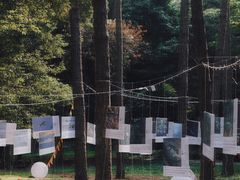 -南宁良凤江国家森林公园