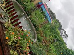 -湿地人家坑烤