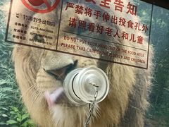 -栾川竹海野生动物园
