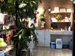 -宠小格时尚宠物生活馆(唐镇店)