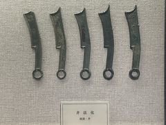 -烟台市博物馆