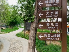 -阳台山自然风景区