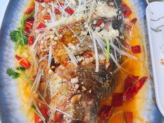 -崂山水果园农家宴(泉水鸡店)