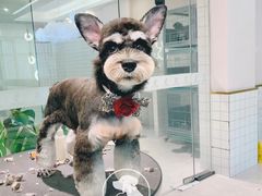 -萌宠主义宠物生活馆(金山路店)