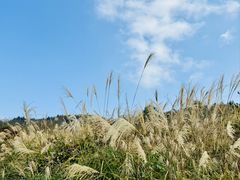 -山王坪喀斯特国家生态公园