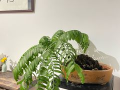 -德迹斋禅意文化茶馆·茶空间·商务洽谈•宴席(桃园店)