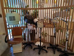 -章光101防脱养发荟