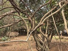 -虞山风景区