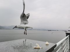 -海埂大坝