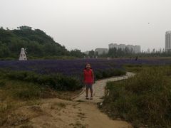 -北戴河集发农业梦想王国