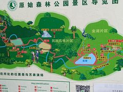 -西双版纳原始森林公园