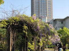 -南京航空航天大学(将军路校区)