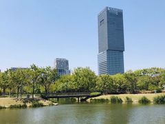 -嘉定紫藤园