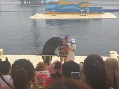 -秦皇岛乐岛海洋王国