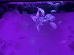 -沈阳海洋探索中心