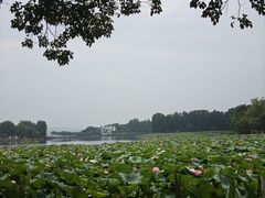 -蔡林记(广埠屯店)
