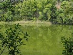 android_upload_pic-丹霞山风景名胜区