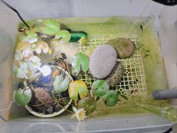 -钓虾工场·钓虾·赶海(回龙观店)