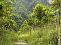 -鹿院坪生态旅游景区