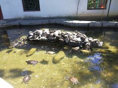 -红螺寺