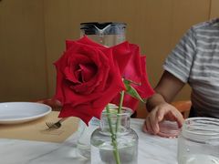 -桃花江餐厅·江景-约会·聚会