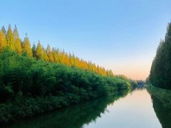 -黄海国家森林公园