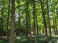 -新虹桥中心花园