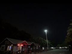 -万绿园
